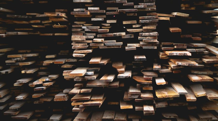 Choix du bois idéal pour la construction de votre maison contemporaine