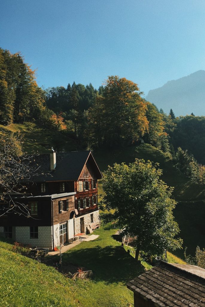 Construire une maison en bois : parcours des étapes essentielles et conseils pratiques