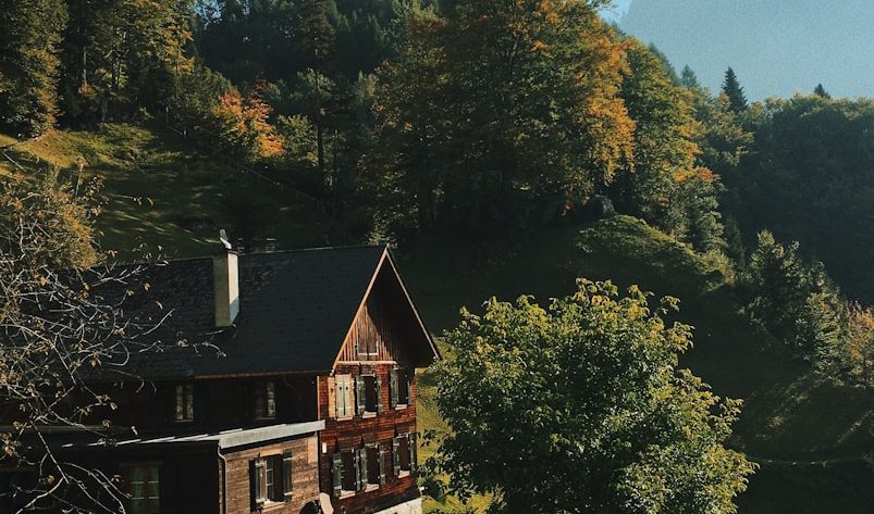 Construire une maison en bois : parcours des étapes essentielles et conseils pratiques