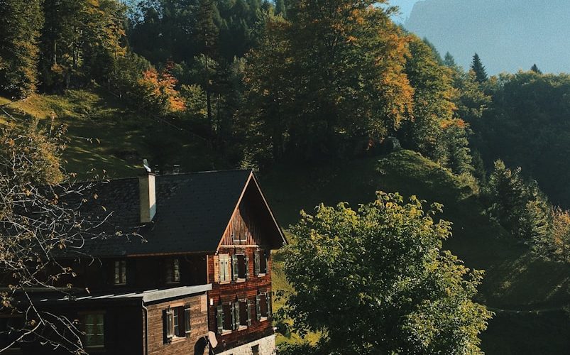 Construire une maison en bois : parcours des étapes essentielles et conseils pratiques