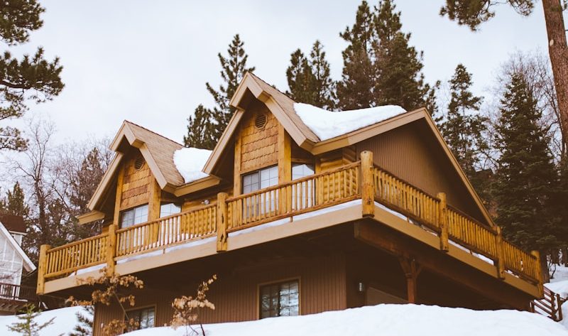 Projet de maison en bois : importance du choix du terrain et de son orientation