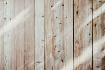 Durée de vie et facteurs influençant la solidité des constructions en bois