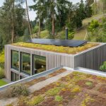 L'impact des toitures végétalisées sur les maisons en bois contemporaines