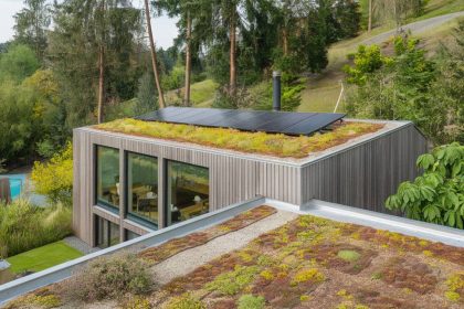 L'impact des toitures végétalisées sur les maisons en bois contemporaines