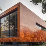 Les essences de bois rares et exotiques dans la construction contemporaine