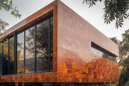 Les essences de bois rares et exotiques dans la construction contemporaine