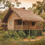 Les avantages des maisons en bois face aux aléas climatiques : résistance et adaptation
