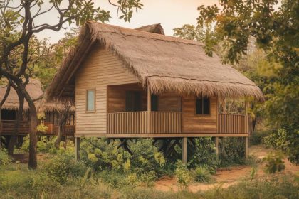 Les avantages des maisons en bois face aux aléas climatiques : résistance et adaptation